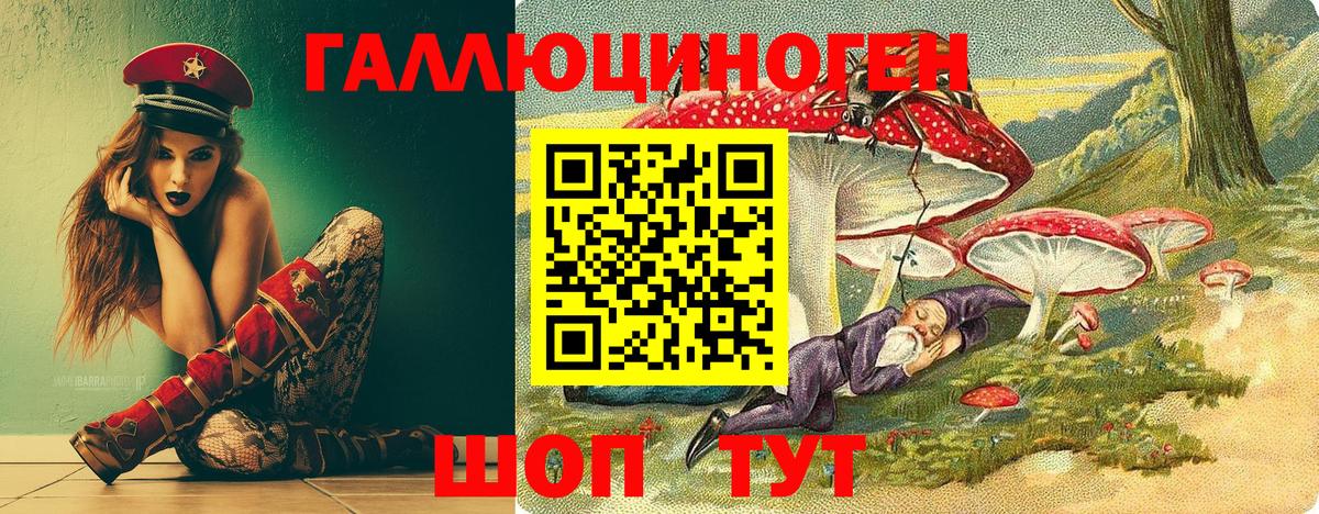 Псилоцибиновые грибы Psilocybine cubensis  Галлюциногенные грибы Psilocybine cubensis  Вход с VPN  Элиста 